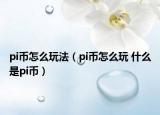 pi币怎么玩法（pi币怎么玩 什么是pi币）