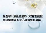 松石可以放鱼缸里吗（松花石能做鱼缸摆件吗 松花石能放鱼缸里吗）