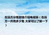 在远方分集剧情介绍电视猫（在远方一共有多少集 大家可以了解一下）