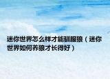 迷你世界怎么样才能驯服狼（迷你世界如何养狼才长得好）