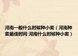 河南一般什么时候种小麦（河南种麦最佳时间 河南什么时候种小麦）