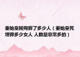 秦始皇陵殉葬了多少人（秦始皇死埋葬多少女人 人数是非常多的）