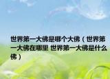 世界第一大佛是哪个大佛（世界第一大佛在哪里 世界第一大佛是什么佛）