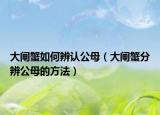 大闸蟹如何辨认公母（大闸蟹分辨公母的方法）