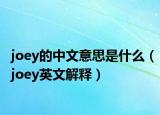 joey的中文意思是什么（joey英文解释）