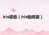 iris读音（iris如何读）