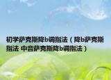 初学萨克斯降b调指法（降b萨克斯指法 中音萨克斯降b调指法）