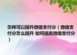 怎样可以提升微信支付分（微信支付分怎么提升 如何提高微信支付分）