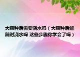大蒜种后需要浇水吗（大蒜种后能随时浇水吗 这些步骤你学会了吗）