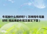 牛尾放什么炖好吃?（怎样炖牛尾最好吃 炖出来的牛尾又香又下饭）
