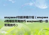 snapseed功能详细介绍（snapseed有哪些常用技巧 snapseed的一些常用技巧）