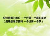 统帅是海尔的吗 一个世界一个家的英文（统帅是海尔的吗 一个世界一个家）