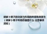 胡萝卜缨子的功效与作用的药用有来医生（胡萝卜缨子药用价值是什么 注意事项须知）