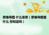 思维导图 什么意思（思维导图是什么 你知道吗）