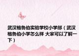 武汉格鲁伯实验学校小学部（武汉格鲁伯小学怎么样 大家可以了解一下）