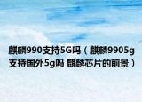 麒麟990支持5G吗（麒麟9905g支持国外5g吗 麒麟芯片的前景）