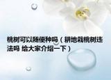 桃树可以随便种吗（耕地栽桃树违法吗 给大家介绍一下）