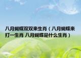 八月蝴蝶双双来生肖（八月蝴蝶来打一生肖 八月蝴蝶是什么生肖）