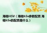 海格H5V（海格h5v参数配置 海格h5v的配置是什么）