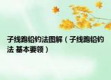 子线跑铅钓法图解（子线跑铅钓法 基本要领）