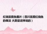 红烧豆腐鱼图片（四川豆腐红烧鱼的做法 大厨是这样说的）