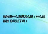 数独是什么意思怎么玩（什么叫数独 你玩过了吗）