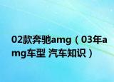 02款奔驰amg（03年amg车型 汽车知识）