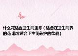 什么花适合卫生间里养（适合在卫生间养的花 非常适合卫生间养护的盆栽）