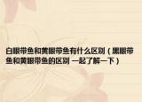 白眼带鱼和黄眼带鱼有什么区别（黑眼带鱼和黄眼带鱼的区别 一起了解一下）