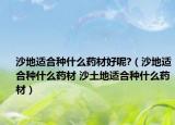 沙地适合种什么药材好呢?（沙地适合种什么药材 沙土地适合种什么药材）