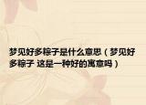 梦见好多粽子是什么意思（梦见好多粽子 这是一种好的寓意吗）