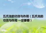 五爪龙的功效与作用（五爪龙的功效与作用 一定要看）