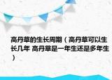 高丹草的生长周期（高丹草可以生长几年 高丹草是一年生还是多年生）