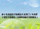 萝卜牛肉馅饺子的做法大全窍门（牛肉罗卜馅饺子的做法 大厨教你最正宗的做法）