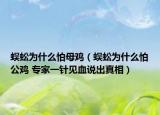 蜈蚣为什么怕母鸡（蜈蚣为什么怕公鸡 专家一针见血说出真相）