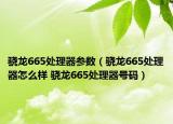 骁龙665处理器参数（骁龙665处理器怎么样 骁龙665处理器号码）