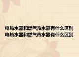 电热水器和燃气热水器有什么区别电热水器和燃气热水器有什么区别