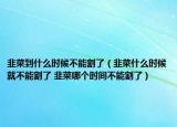 韭菜到什么时候不能割了（韭菜什么时候就不能割了 韭菜哪个时间不能割了）