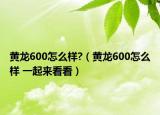 黄龙600怎么样?（黄龙600怎么样 一起来看看）