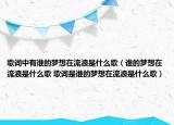 歌词中有谁的梦想在流浪是什么歌（谁的梦想在流浪是什么歌 歌词是谁的梦想在流浪是什么歌）