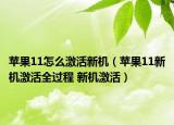 苹果11怎么激活新机（苹果11新机激活全过程 新机激活）