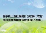 在手机上查社保用什么软件（农村手机查社保用什么软件 掌上办事）