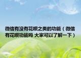 微信有没有花呗之类的功能（微信有花呗功能吗 大家可以了解一下）