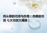 肉从蓉的功效与作用（肉蓉的功效 七大功效大揭晓）