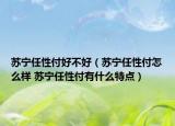 苏宁任性付好不好（苏宁任性付怎么样 苏宁任性付有什么特点）
