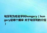 匈牙利为啥名字叫hungary（hungary是哪个国家 关于匈牙利的介绍）