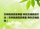 怎样挑选百香果苗 教你正确挑选方法（怎样挑选百香果苗 教你正确挑选）