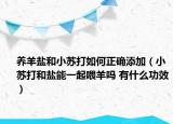 养羊盐和小苏打如何正确添加（小苏打和盐能一起喂羊吗 有什么功效）