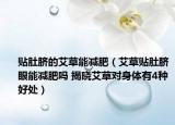 贴肚脐的艾草能减肥（艾草贴肚脐眼能减肥吗 揭晓艾草对身体有4种好处）