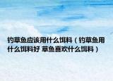 钓草鱼应该用什么饵料（钓草鱼用什么饵料好 草鱼喜欢什么饵料）
